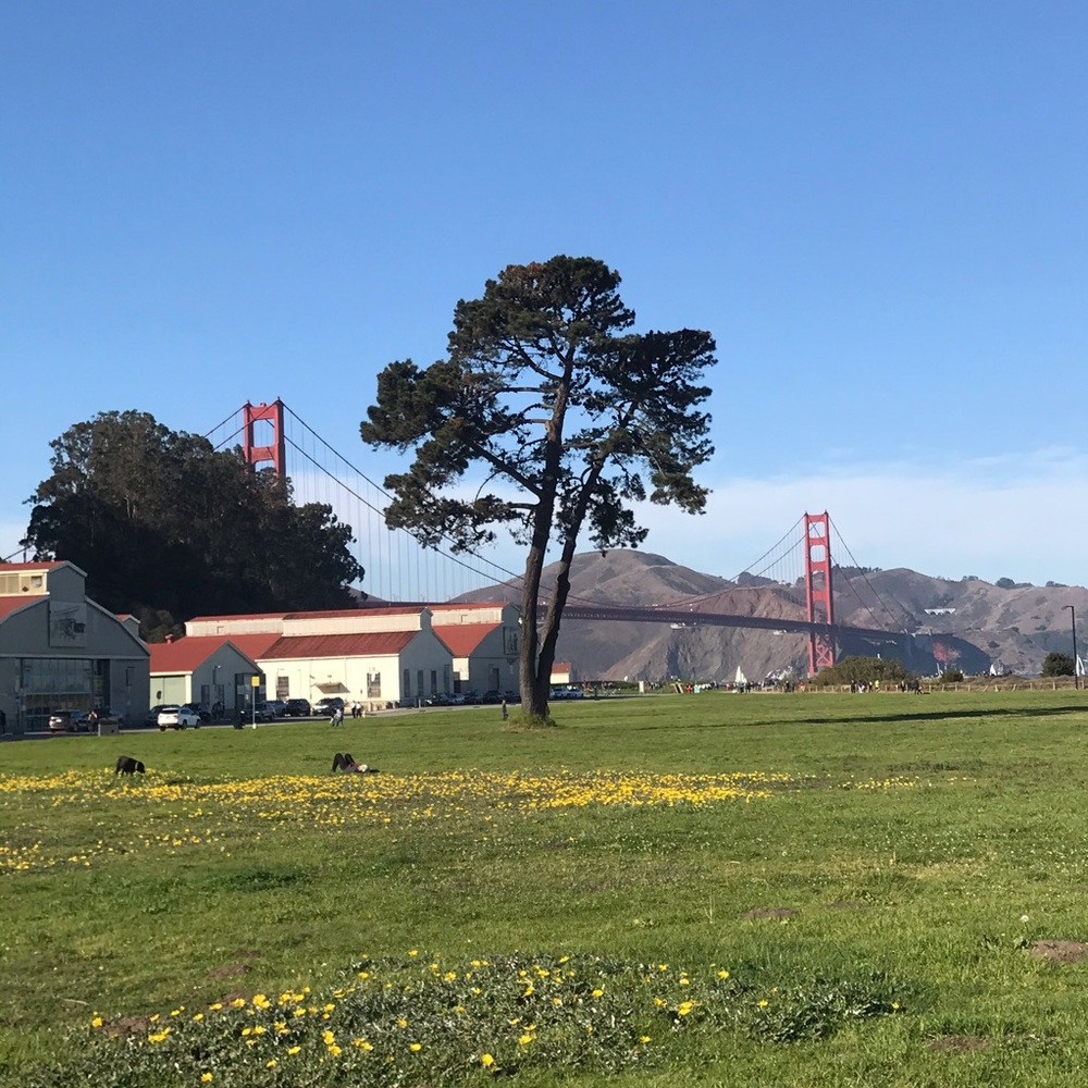 Meet your Posher, Lien